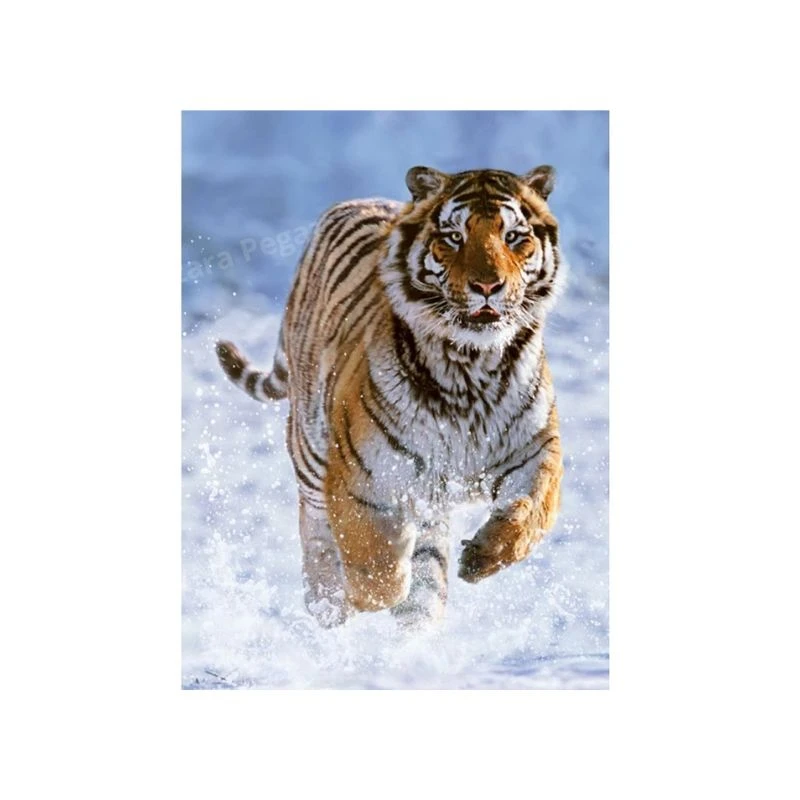 Ravensburger puzzle 500 delova Tigar u snegu RA12000148 – premium slagalica sa motivom divljeg tigra u zimskom pejzažu, kvalitetna puzzle za odrasle i tinejdžere