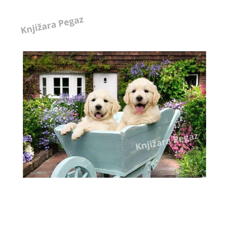 Ravensburger Zlatni retriver puzzle 200 XL delova za uzrast 9+ Feel WELL & Puzzle, sa podlogom i slikom u prirodnoj veličini, 42,2 x 29,2 cm RA12001368