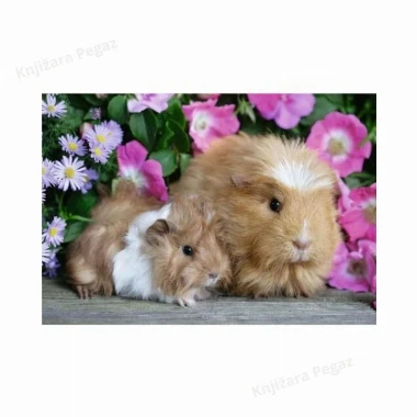 Ravensburger puzzle- Vreme je za maženje RA05144